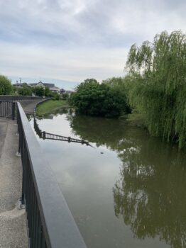 「　豪雨の後　」