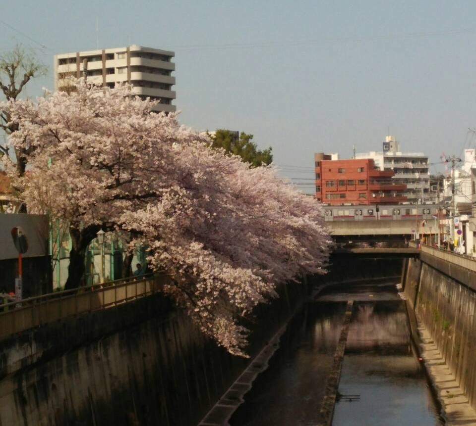 “春の始まり”