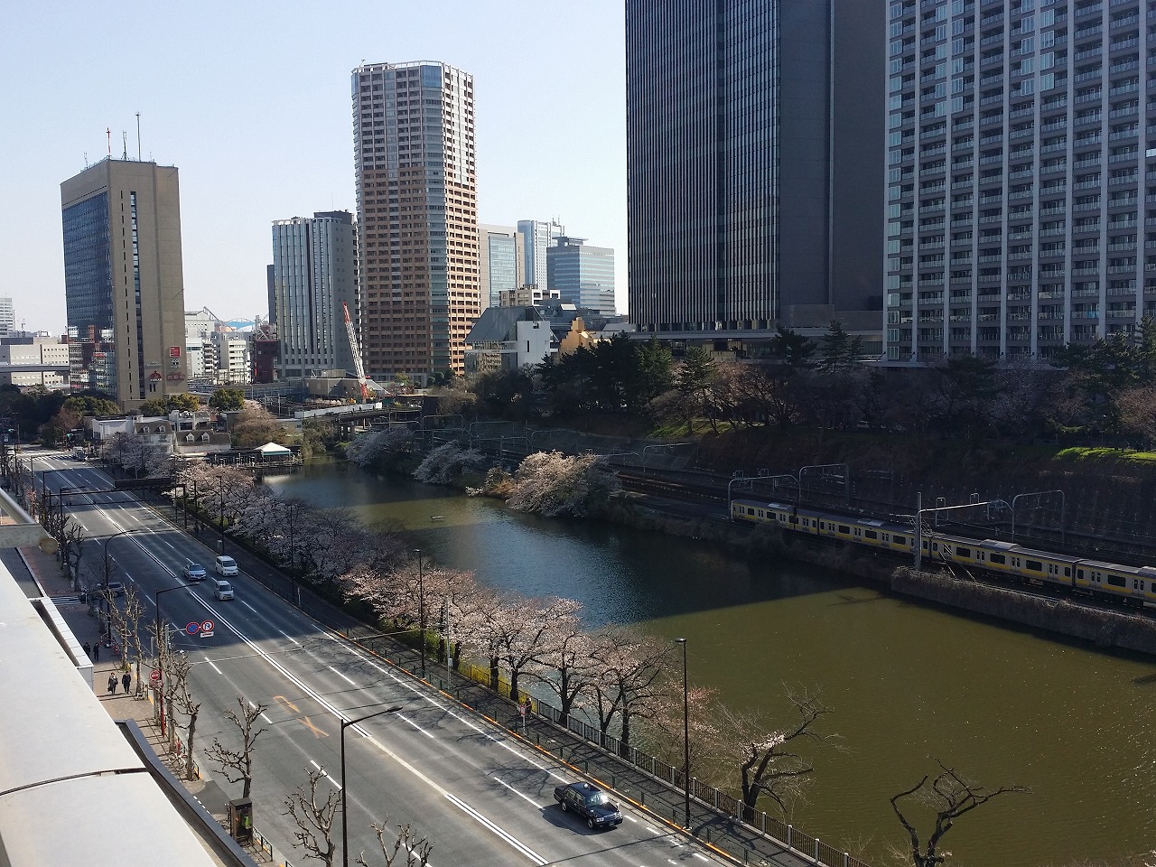 ❝ 外濠の桜 ❞