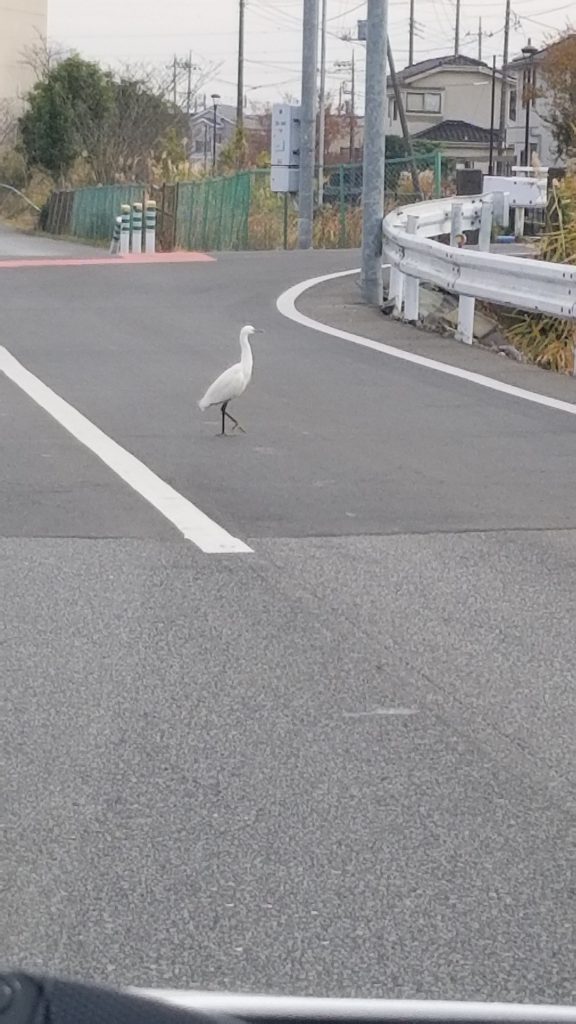 年末のカレンダー配りの途中に